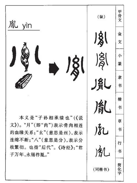 胤的意思